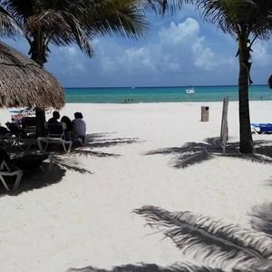 Meet your Posher, Willie